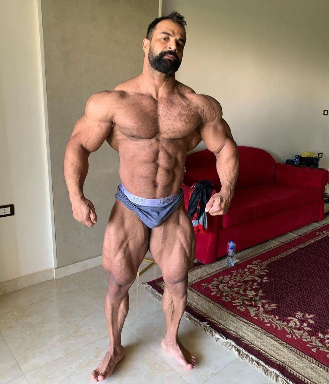 Ахмед Эль Вардани