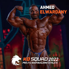 Ахмед Эль Вардани