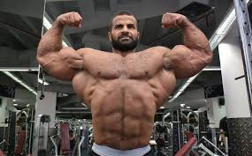 Ахмед Эль Вардани