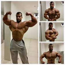 Ахмед Эль Вардани