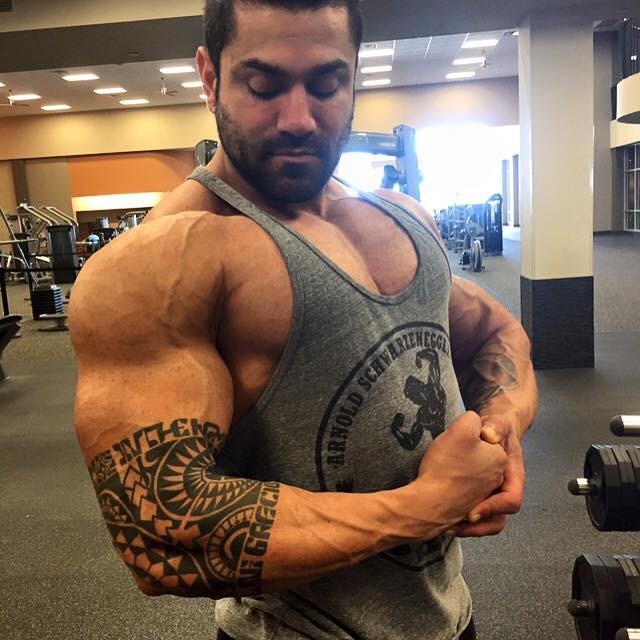 Эй Джей Шукори