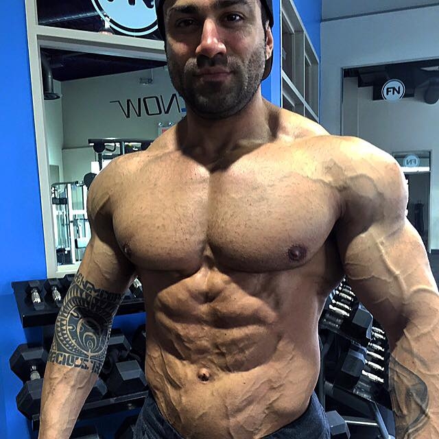 Эй Джей Шукори