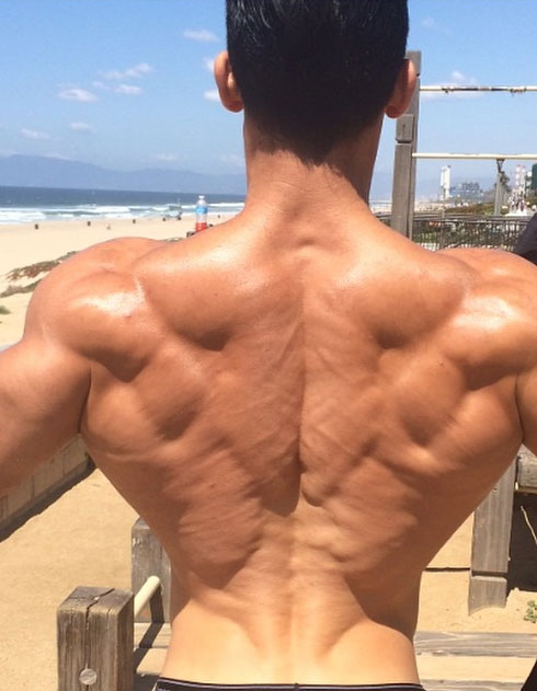 Арья Саффеи