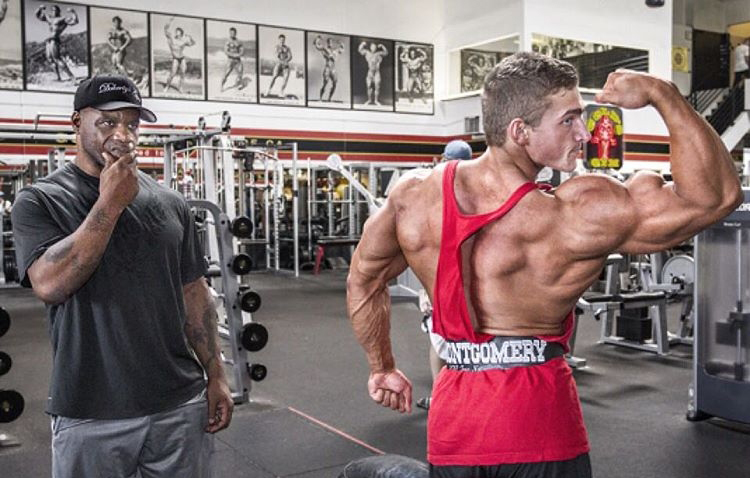 Коди Монтгомери