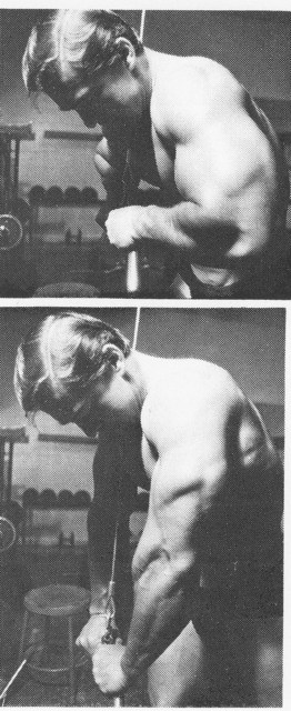 Ларри Скотт