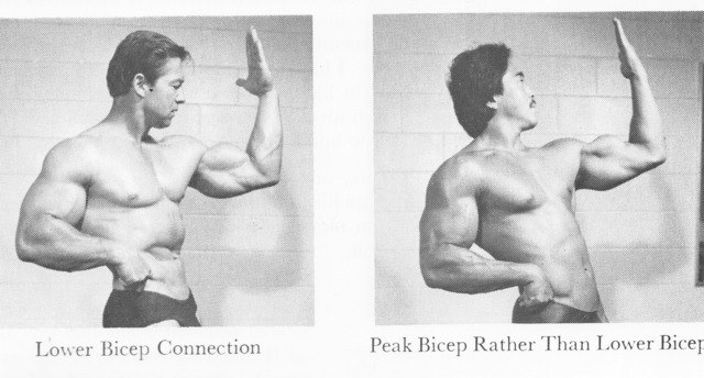 Ларри Скотт