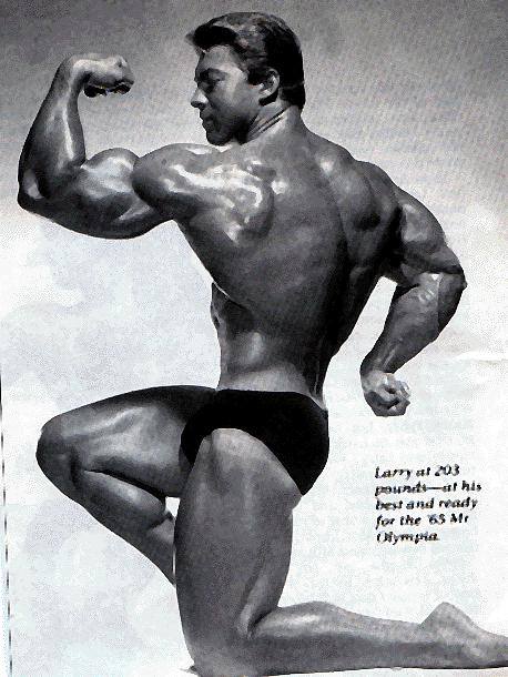 Ларри Скотт