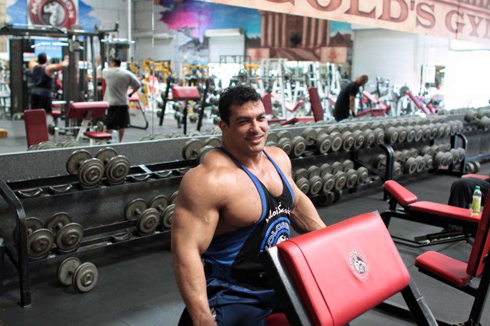 Тарек Эльсетух