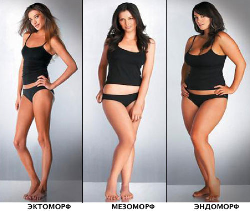 Питание по типу телосложения