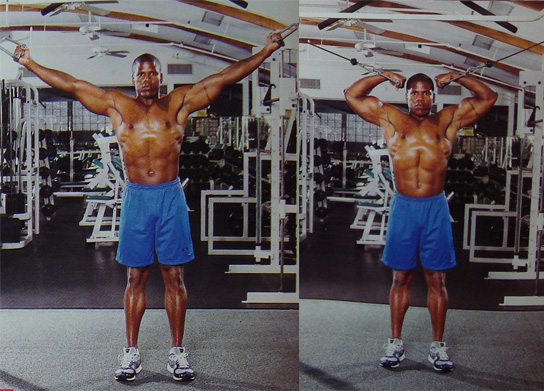 Сгибания рук на верхних блоках стоя