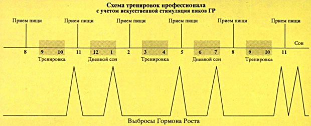 Гормон роста