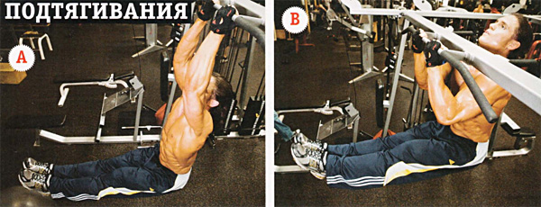 Подтягивания