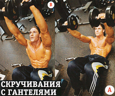 Скручиванием с гантелями в прямых руках