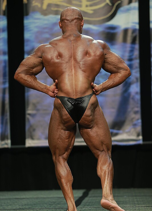 Шелби Старнес