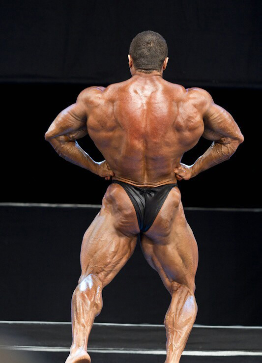 Сергей Шелестов