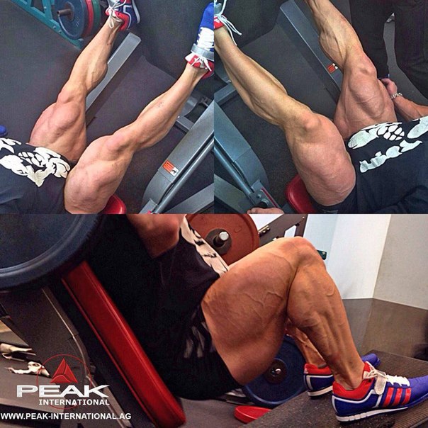 Алексей Лесуков