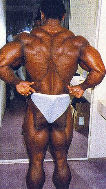 Флекс Уиллер