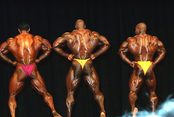 Флекс Уиллер