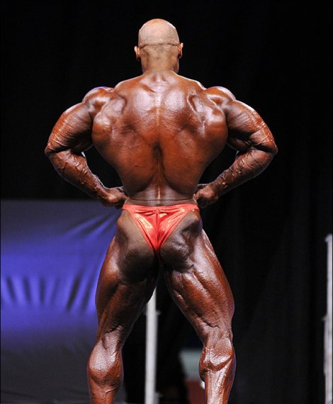 Сами Эль Хаддад