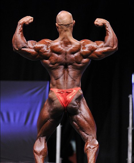 Сами Эль Хаддад