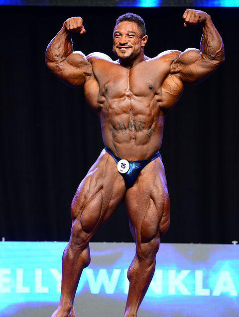 Ролли Винклаар