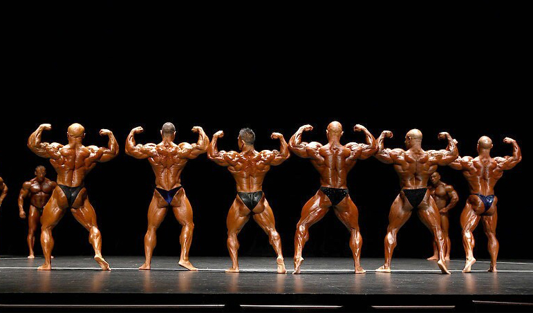 Маркус Хейли