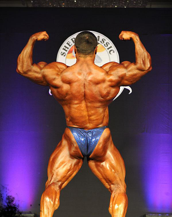 Сергей Шелестов