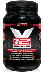 S.A.N. V-12 Magnum
