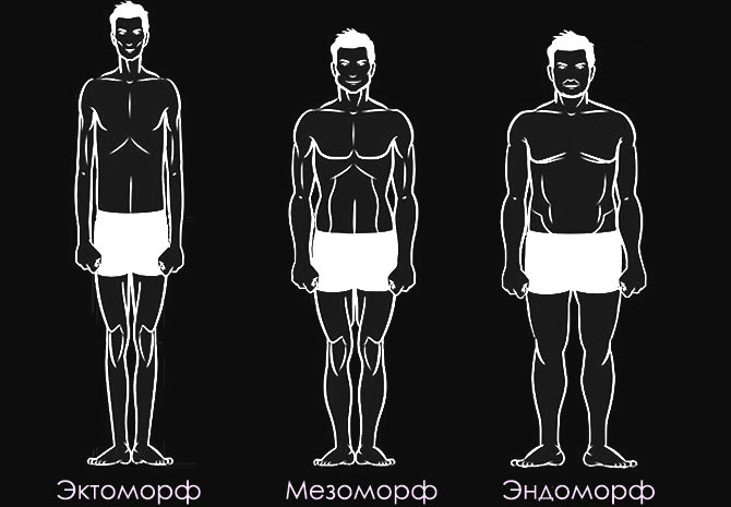 Эктоморф